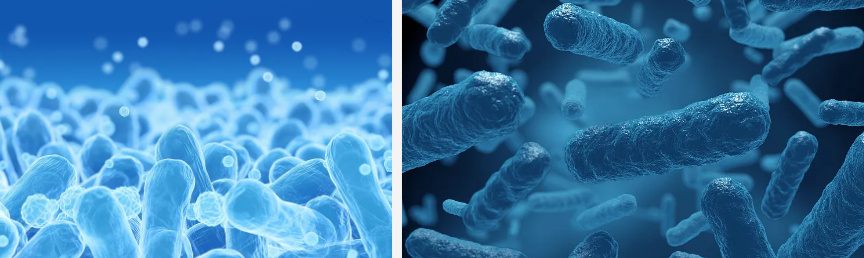 Povidone Iodine Povidone Iodine