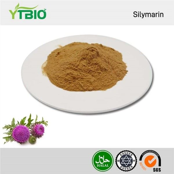 Silymarin pulver