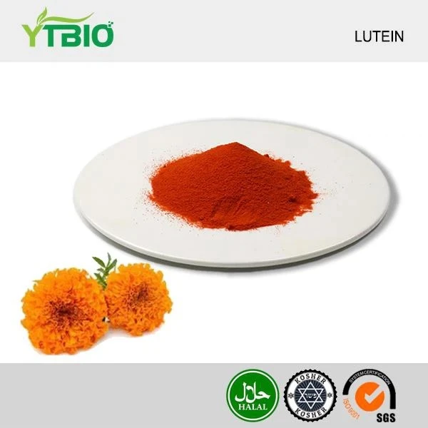 Lutein pulver