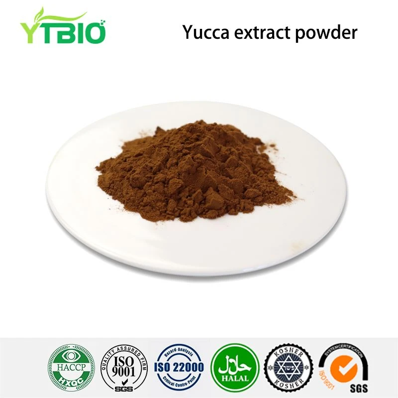 Yucca ekstrakt pulver