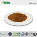 Salidroside pulver